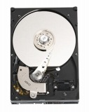 WD1600AAJS (160G SATA300 7200)