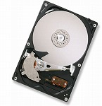 ��¨��ȯ���� [ HDP725025GLA380 ]  HGST(��ΩIBM)