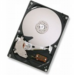 ��¨��ȯ���� [ HDP725025GLAT80 ]  HGST(��ΩIBM)
