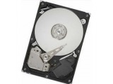 ST3160022ACE [160GB U100 5400]