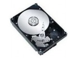 ST31000524AS [1TB SATA600 7200]