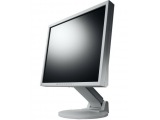 FlexScan S1932-SEGY [19�C���`]
