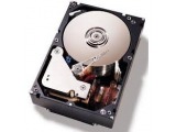 42D0652 [146GB 15000 SAS2.0]