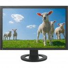 ColorEdge CG223W 56cm(22.0)型カラーマネージメント液晶モニター (ノングレア)