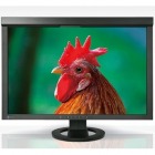 ColorEdge CG245W 61cm(24.1)型カラーマネージメント液晶モニター (ノングレア)