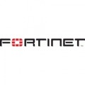 FortiGate-40C次年度保守Platinum(24時間365日オンサイト)