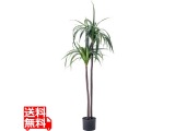 人工観葉植物