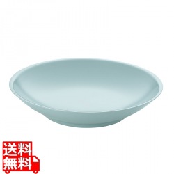 メタル丼サーラ 塗装仕様 青磁 写真1