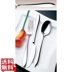 No.19600 18-10 ヴェルーテ テーブルスプーン 写真1