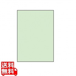 マルチタイプ カラーラベル 210mm×297mm A4版 210mm×297mm 500シート(100シート×5) 写真1