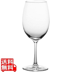 IPT Gライン ボルドー赤 8580 写真1