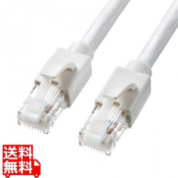 カテゴリ6A LANケーブル 写真1