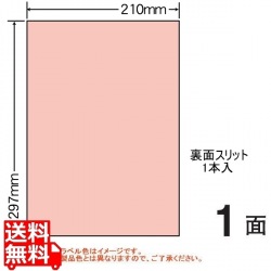 マルチタイプ カラーラベル 210mm×297mm A4版 210mm×297mm 500シート(100シート×5) 写真1
