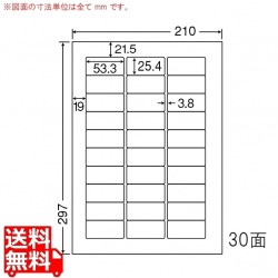 カラーレーザープリンタ用耐水光沢紙ラベル 53.3mm×25.4mm A4版 210mm×297mm 400シート(80シート×5) 写真1