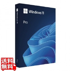 Windows 11 Pro 日本語版 写真1