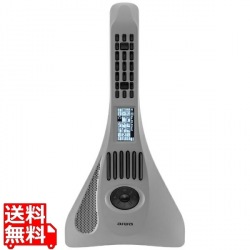 aiwa play RX01 powered by InstaChord 写真1