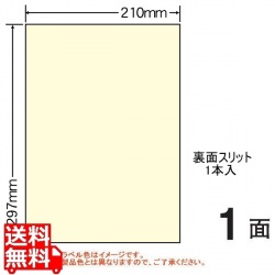 マルチタイプ カラーラベル 210mm×297mm A4版 210mm×297mm 500シート(100シート×5) 写真1