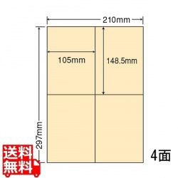 マルチタイプ カラーラベル 再剥離 105mm×148.5mm A4版 210mm×297mm 500シート(100シート×5) 写真1