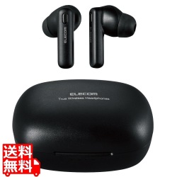 Bluetoothイヤホン/完全ワイヤレス/ノイズキャンセリング対応/AAC対応/カナル型/ブラック 写真1