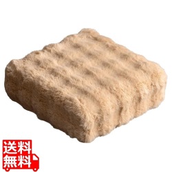 ふわとろリビングクッション CN-120 ベージュ 写真1