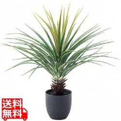 フェイクグリーン ミニパイナップル 写真1