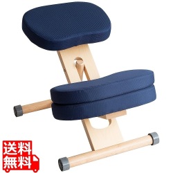 プロポーションチェアキッズ CH-N889CK ナチュラルネイビー 写真1