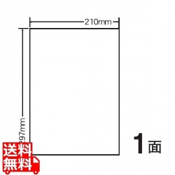 カラーレーザー用マットタイプラベル 210mm×297mm A4版 210mm×297mm 500シート(100シート×5) 写真1