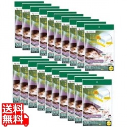 透明保護フィルム 1ケース 200シート A4ノーカット 写真1