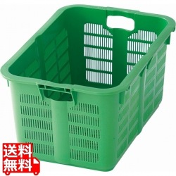 リス プラスケット No.500 グリーン 写真1