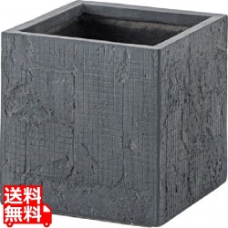 グリーンベース 写真1