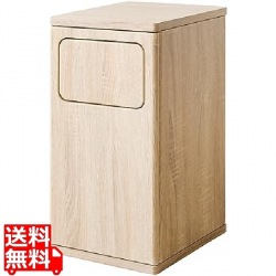 ウッドプッシュダストボックス DB-480R ナチュラル 写真1