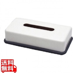 ニューエクセレンス ティッシュボックス(浅型)296IW 写真1