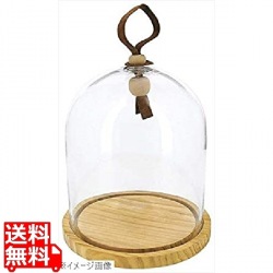 レヴォル タッチ ガラスドーム 木台セット 中 650900 写真1