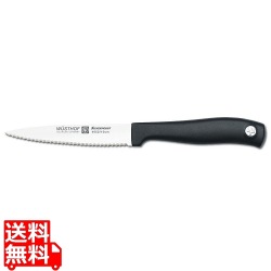 シルバーポイント パーリングナイフ10cm 4052SP 写真1