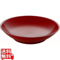 メタル丼サーラ Jr 塗装仕様 赤 写真1