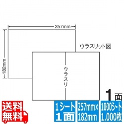 ナナコピー 257mm×182mm B5版 257mm×182mm 1000シート(100シート×10) 写真1