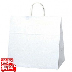 手堤袋 25チャームバッグ 3才(50枚入)晒白無地 写真1