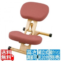 プロポーションチェア  CH-88WRO ローズ 宮武製作所  | チェア イス 椅子 いす 子どもから大人まで 姿勢 背中 補助 矯正 背筋 キャスター 高さ調節 クッション 写真1