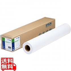 PXマット紙ロール 薄手 594mm×40m 写真1