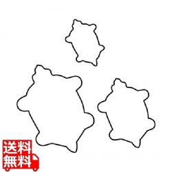 生抜 3PC 亀 写真1