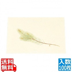 尺三 懐石まっと クリーム(100枚入)WSS-2 松 写真1