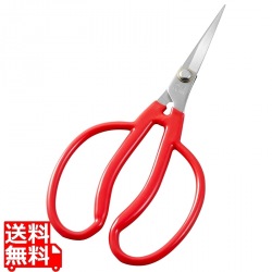 K-14 ステンレスぶどう間引鋏 [PP袋入] 写真1