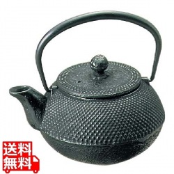 南部鉄 急須 アラレ 0.3L(3型)12301 写真1