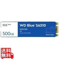 WD Blue SA510 SATA接続 M.2 SSD 500GB 5年保証 WDS500G3B0B 写真1