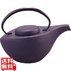 岩鋳 急須 曳舟 黒艶消 12071 南部鉄器 写真1