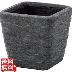 グリーンベース 写真1