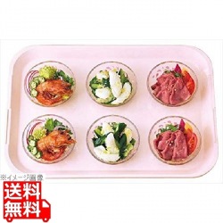 FRP プリセットトレー H-6000 440×310×H28 写真1