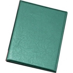 LB-402レザータッチメニュー中グリーン 写真1