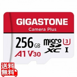 microSDXCカード 256GB SDカードケース付き UHS-I U1 A1スペック 最大読み取り速度100MB/s 4K & Full HDビデオ撮影対応 写真1