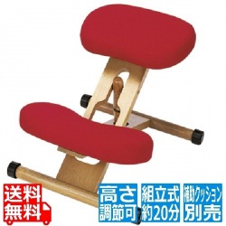 プロポーションチェア CH-88WRE レッド 宮武製作所  | チェア イス 椅子 いす 子どもから大人まで 姿勢 背中 補助 矯正 背筋 キャスター 高さ調節 クッション 写真1